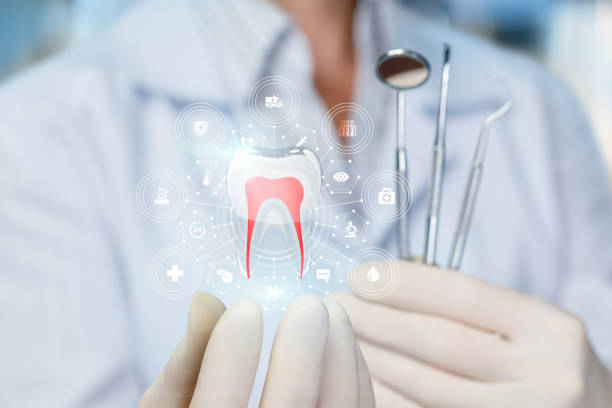 Best Dental Fillings (Composite and Amalgam)  in Minneola, FL